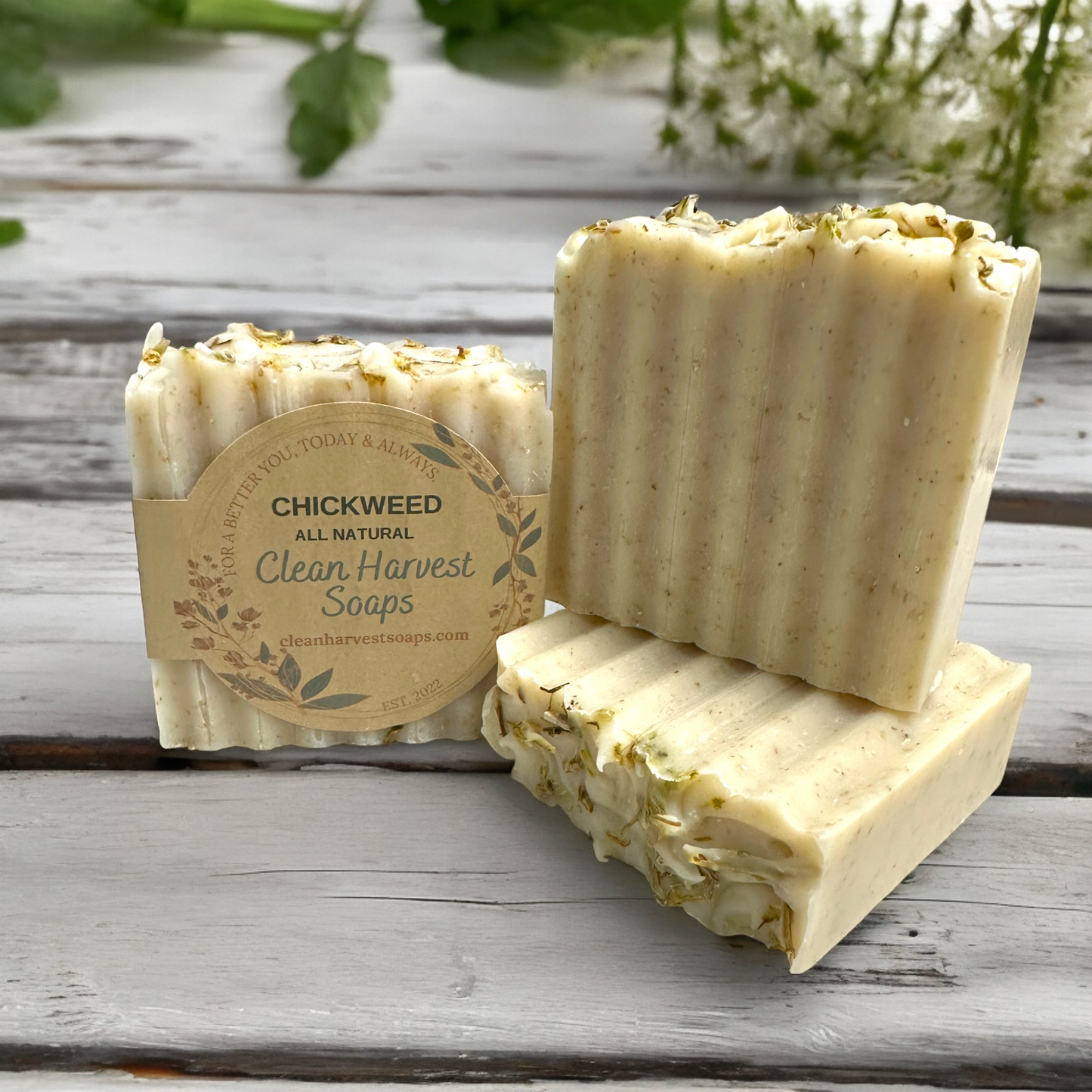 Chickweed Specialty Soap – All-Natural Lavender Healing Bar