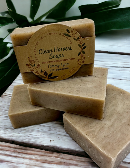 Rhassoul Aloe Bar Soap (Unscented, Vegan, All Natural, Aloe)