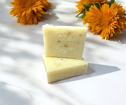 Organic Aloe Calendula Bar Soap: (Unscented, All-Natural, Vegan, Aloe-Infused)